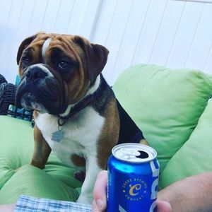 Meet your Posher, Tom